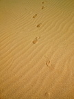 Footprints in the sand photos