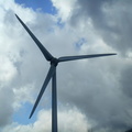 Windmill wind turbine