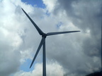 Windmill wind turbine