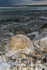 Beach pebble stones
