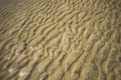Sea sand wallpaper