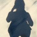 Shadow on the sand,sand shadow