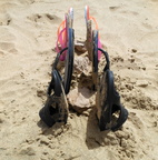 Sandals on beach,beach sandals flip flops