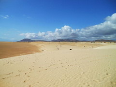 Sand dunes Fuerteventura Corralejo