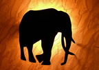 Elephant photos free download