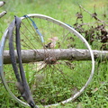 Broken bicycle wheel