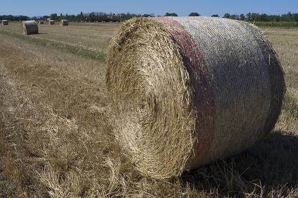 Large bales of hay
