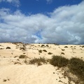 Corralejo photos sand dunes Fuerteventura 