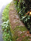 Garden boundary wall
