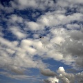 Airplane flying in sky