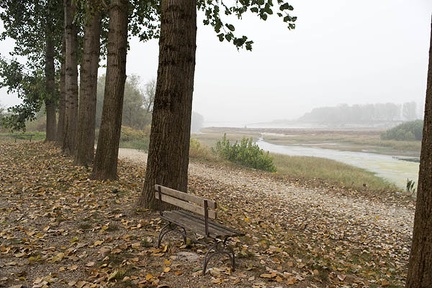Autumn bench