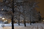 Snow covered trees images