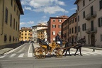 Horse and a carriage