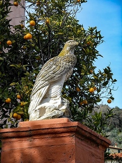 The bird sculpture in park