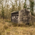 Picture of Abandoned Old Wooden Shack