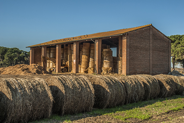 Storing hay bales,round hay bales